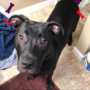 Meet your Posher, Marissa